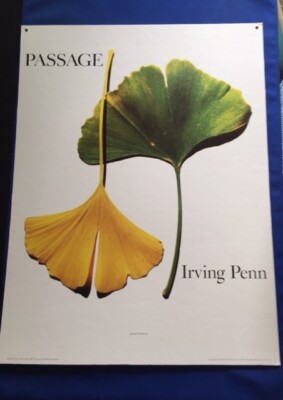 PASSAGE: PROMOTIONAL DISPLAY - IRVING PENN | eBay