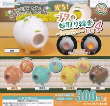 Pig Katorisenkou Retro Color Mascot Capsule Toy 5 Types Full Comp Set Gacha New