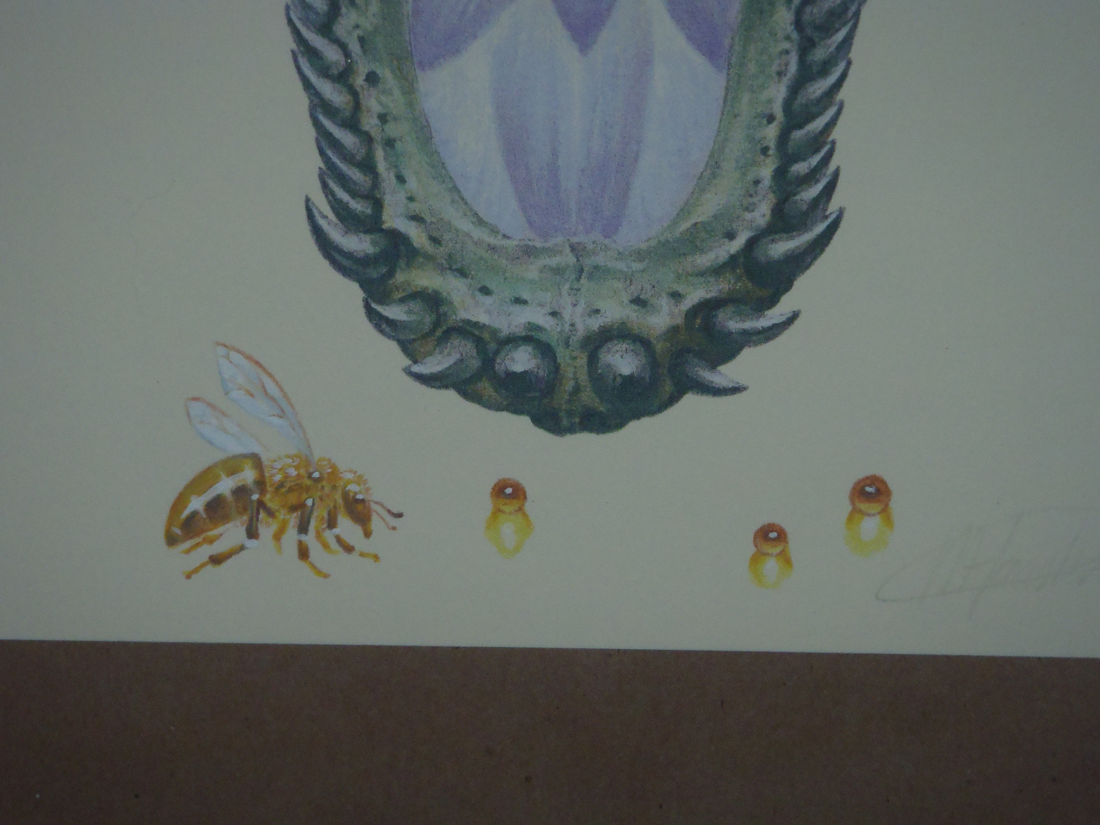 Picture 3 of 9
