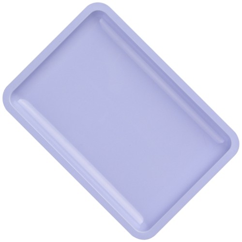 Professional Manicure Stainless Steel Storage Tray for Beauty Salon and Home - Picture 10 of 14