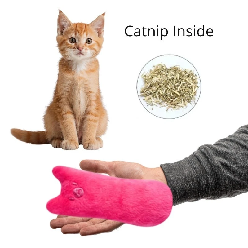 Catnip Filled Design