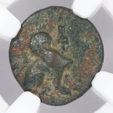 Perge AE17 Greek Pamphylia Greek Bronze Griffin Coin c. 260-230 BC NGC Ch F