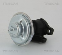 Triscan AGR Ventil 8813 28011 FüR Peugeot Fiat CitroËN Jumper Boxer Ducato Bus 2