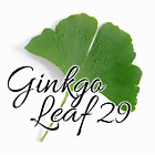 GinkgoLeaf29