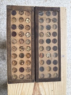 Vintage Agricultural Seed Identification Display Case Pair Crop Samples Oddity