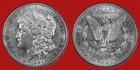 1884 S MORGAN Dollar   RARITY!  eye appeal   A Beauty!!!