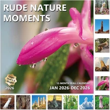 2026 Funny Wall Calendar 12 Month, Large Wall Calendar 2026 from January to Dece