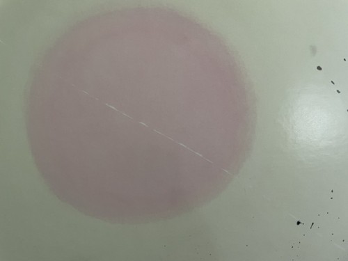 Póster de Adolph Gottlieb del Museo de Arte Moderno de Fort Worth - Imagen 7 de 12