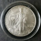1996 $1 American Silver Eagle Dollar in a Capsule