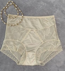 NEW Sheer Silky Shiny Nylon Shaping Panties Whisper Thin  7  L Light Control