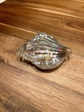 CONCH SEA SHELL Clear GLASS / CRYSTAL ART PAPERWEIGHT