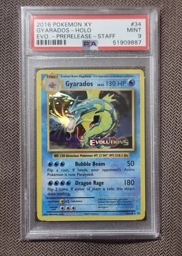 2016 POKEMON XY EVOLUTIONS GYARADOS PRE RELEASE STAFF HOLO PSA 9