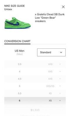 Nike Greaful Dead Green Bear Men's Shoes Size 7 CJ5378-300 Used No Box