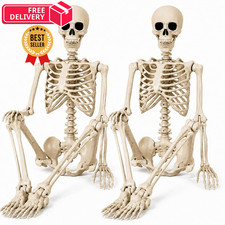2 Pack 36" Halloween Skeleton - 3 ft Life Size Human 3 ft, White