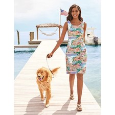 NWT Talbots Sleeveless Scenic Village Print Shift Dress 2 Artsy Graphic Classic