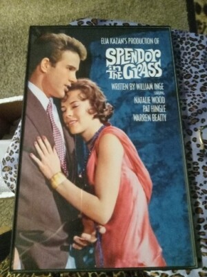 SPLENDOR IN THE GRASS Movie POSTER 11 x 17 Natalie Wood, Warren Beatty, 