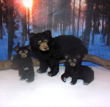 American bear cub MADE TO ORDER OOAK 1:12 Miniature Dollhouse handmade realistic