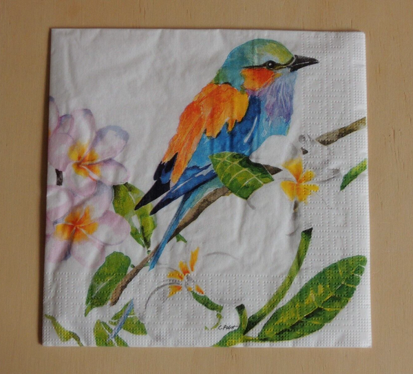 20 Servietten Vogel Exotisch Bunt Angebot 1 Packung Ovp Motivservietten VöGel-image