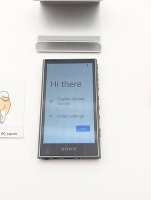 SONY NW-A306 gray WALKMAN 32GB Hi-Res Multilingual OK (JP Model