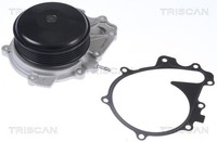 Wasserpumpe MotorküHlung Triscan 8600 23079 FüR Mercedes A205 S205 GLC C253 W205