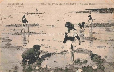 Saint-Valery-en-Caux St-Valery-en-Caux 76 Seine-Maritime A Maree Basse