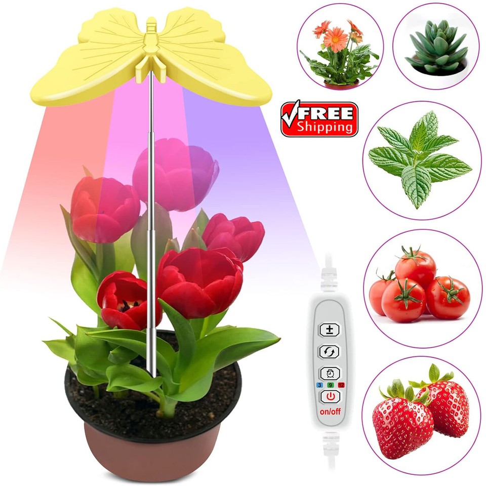 Full Spectrum LED Grow Light Plant Growing Lamp for Indoor Desk Plants ...
