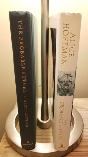 The Probable Future by Alice Hoffman 2003 1st Edition 1st Printing HB DJ VGC!! - Picture 2 of 12