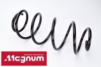 Magnum Technology SG054MT Fahrwerksfeder FüR Ford