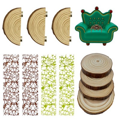 Jumping Spider Enclosure Habitat Decor Kit Throne Stairs Ledge Climbing Web
