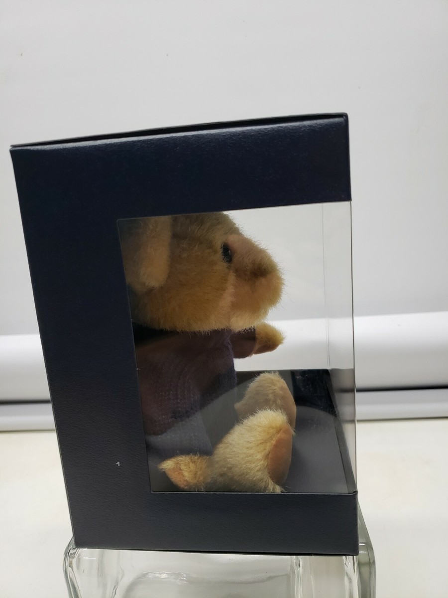 Ralph Lauren The Polo Bear Holiday 2019 (s3436100) Pl7 for