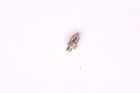 Bild 4 von 24