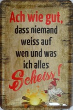 Blechschild Schild 20x30cm - wie gut niemand weiss alles scheiss Spruch vintage 
