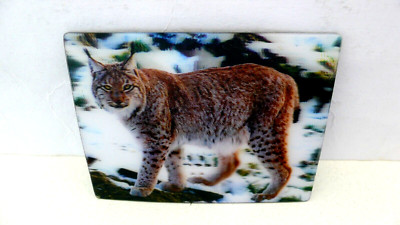 3 D LUCHS KÜHLSCHRANK MAGNET LYNX CAT FRIDGE CARD MAGNET TIER ANIMAL KARTE  !!!!