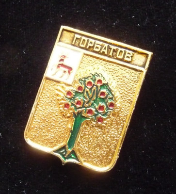 USSR Soviet Badge Project Coats of Arms Gorbatov  Nizhny Novgorod Region Russia