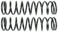 Sachs Fahrwerksfedern Vorne FüR Mercedes G-KLASSE Cabrio (W460,W461,W463)
