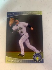 Quinn Brodey Card  2018 Columbia Fireflies Team Card