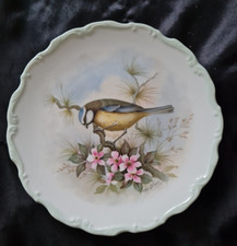 Royal Albert collection Plate The Woodland Birds Collection "Blue Titmouse Bird"