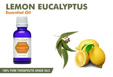 Lemon Eucalyptus Essential Oil 100 Pure Natural PREMIUM Therapeutic Grade Oils