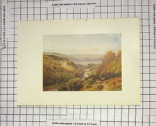 Original Old Antique Print Colour Landscape Castle River Trees Birds Country