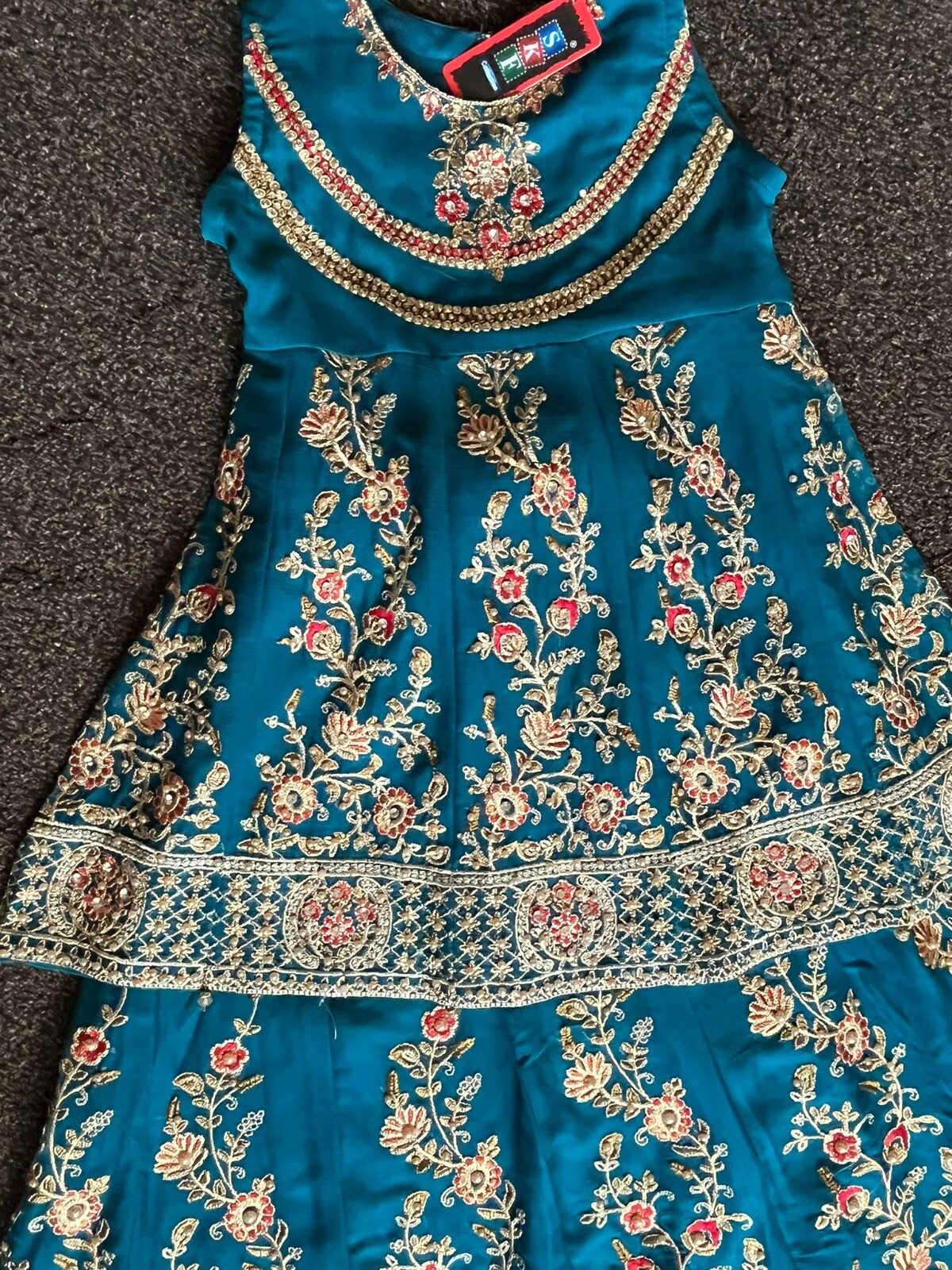 asian pakistani indian wedding party 