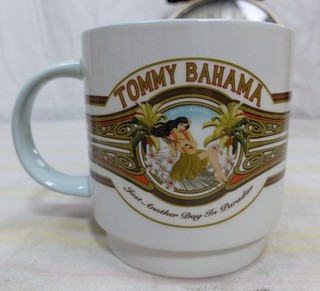 Tommy Bahama Another Day In Paradise Mug