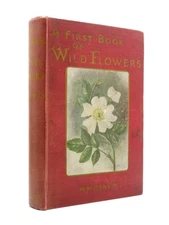 A First Book of Wild Flowers RANKIN 1923 Vintage Children's Book Colour Plates