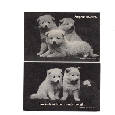 2 POSTCARD Samoyed Puppy Dog RPPC Real Photo J G Steele 1911 Vintage