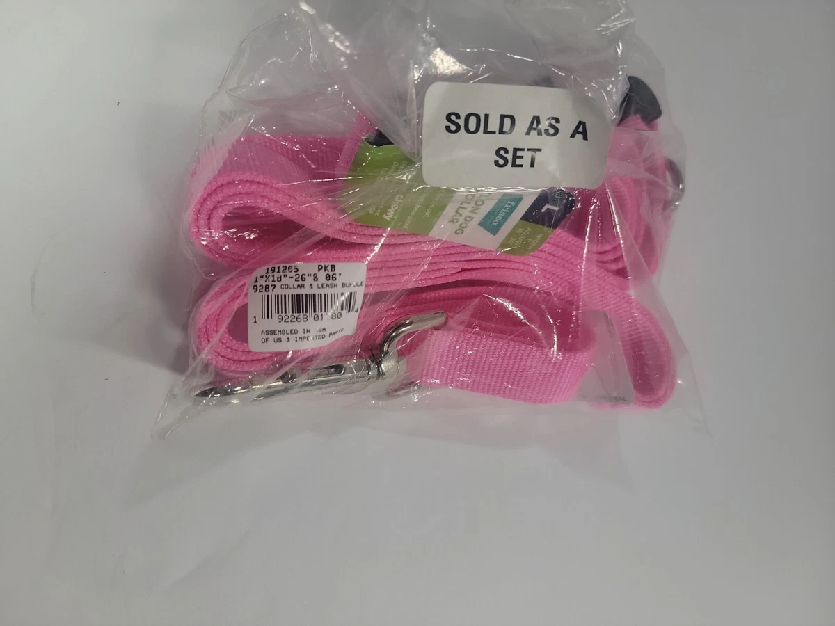 Frisco dog best sale collars and leashes