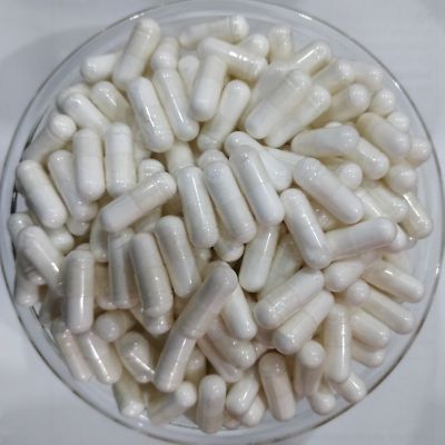 l carnitine powder vs capsule L-Carnitine for Dogs: Key Benefits that Every Pet Parent Must Know! main image 0