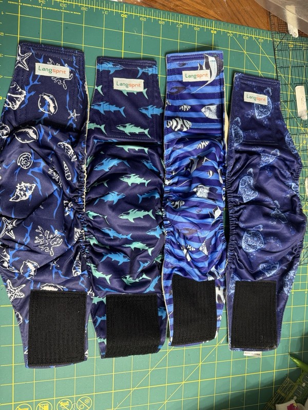 Dog Reusable Belly Band Diapers MALE, SMALL, 4 in package Fish, Shells