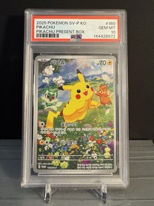 Korean Pikachu | eBay
