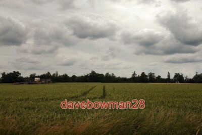 PHOTO  LIVERMERE THICKS TAKEN FROM THE MINOR ROAD THAT PASSES THROUGH THE EXTREM