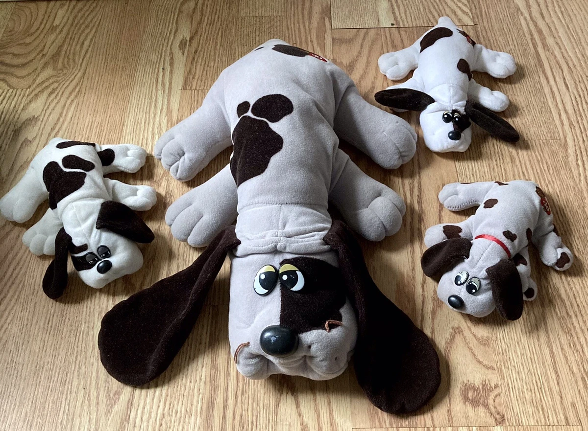 Dog pound cheap puppies