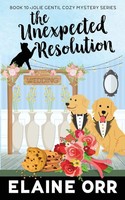 Elaine L. Orr | The Unexpected Resolution | Taschenbuch | Englisch (2023)